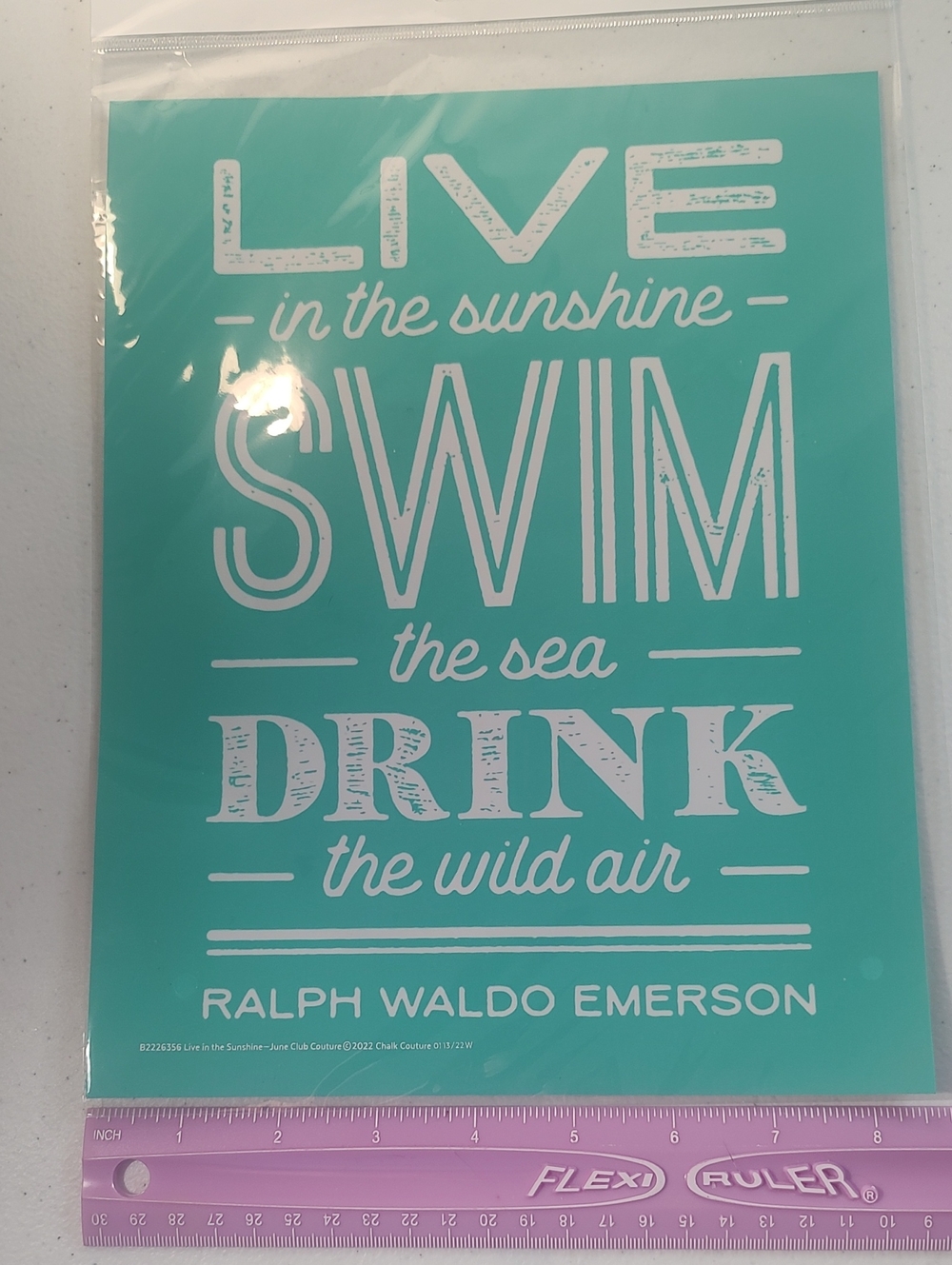 Chalk Couture Transfer -Live-In The Sunshine-Swim-The Sea-Drink-the Wild Air-